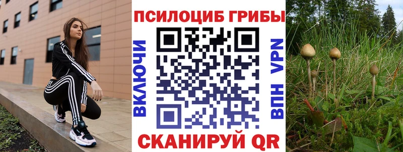 где найти наркотики  kraken ссылки  Галлюциногенные грибы Magic Shrooms  Луховицы 