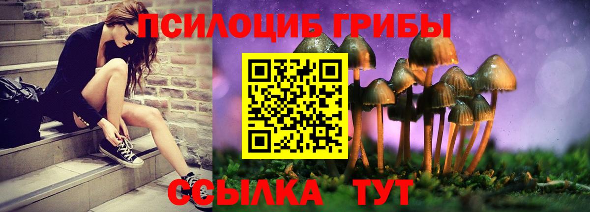 Псилоцибиновые грибы Psilocybe  Галлюциногенные грибы прущие грибы  Луховицы  Вход с VPN 